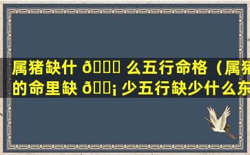 属猪缺什 🕊 么五行命格（属猪的命里缺 🐡 少五行缺少什么东西）